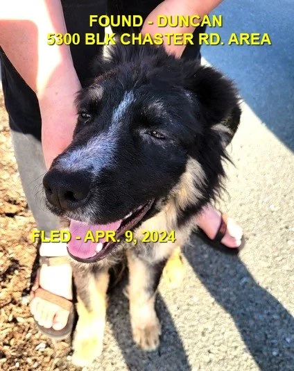 HAPPY ENDINGS - DUNCAN BC. / KODA / APRIL 9, 2024