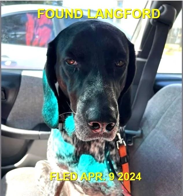 HAPPY ENDINGS - LANGFORD BC. / APRIL 9, 2024