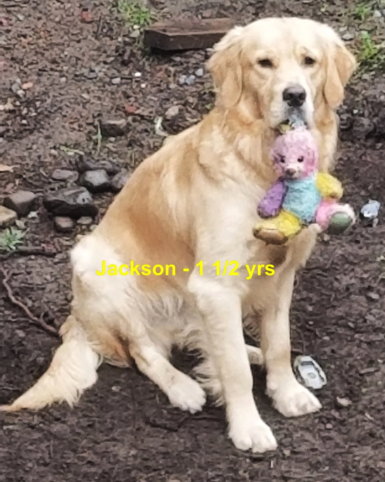 HAPPY ENDINGS - DUNCAN BC. / JACKSON / APRIL 9, 2024