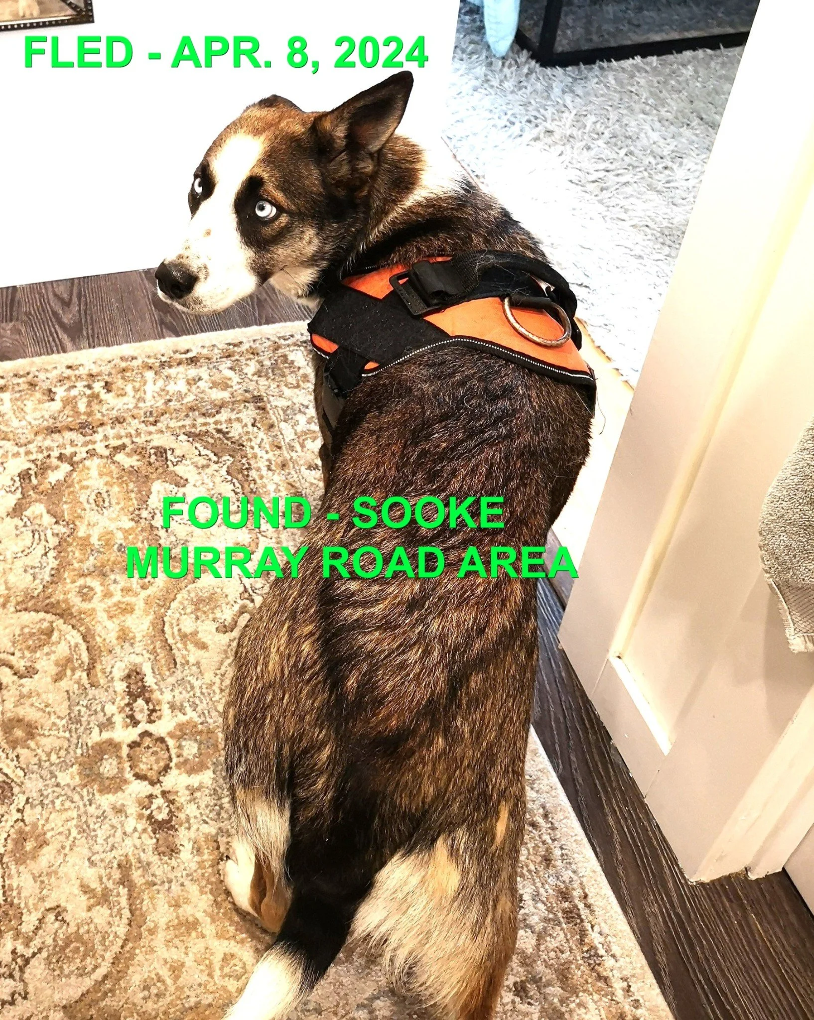 HAPPY ENDINGS - SOOKE BC. / PANCAKE / APRIL 8, 2024