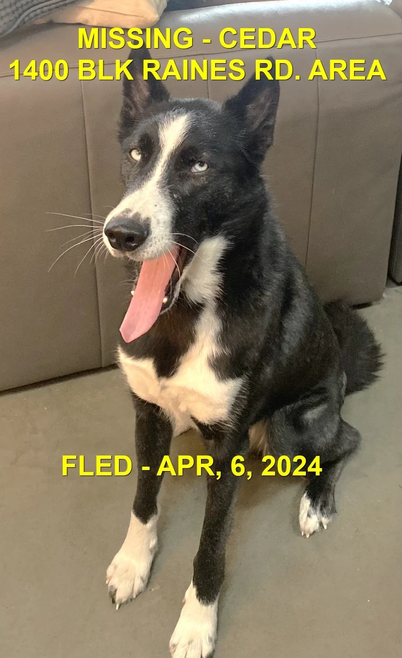 HAPPY ENDINGS - NANAIMO (CEDAR) BC. / ED / APRIL 6, 2024