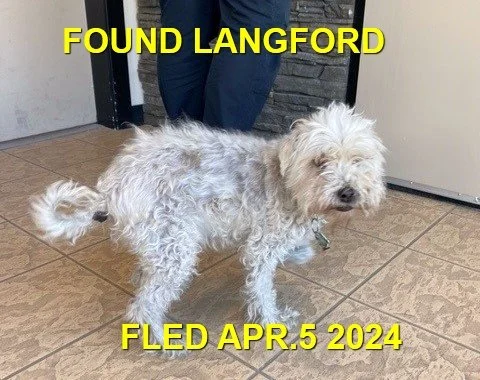 HAPPY ENDINGS - LANGFORD BC. / KODA / APRIL 5, 2024