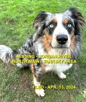 HAPPY ENDINGS - JORDAN RIVER BC. / WILLY / APR. 13, 2024