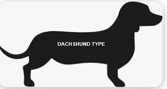 HAPPY ENDINGS - NANAIMO BC. / APR. 12, 2024