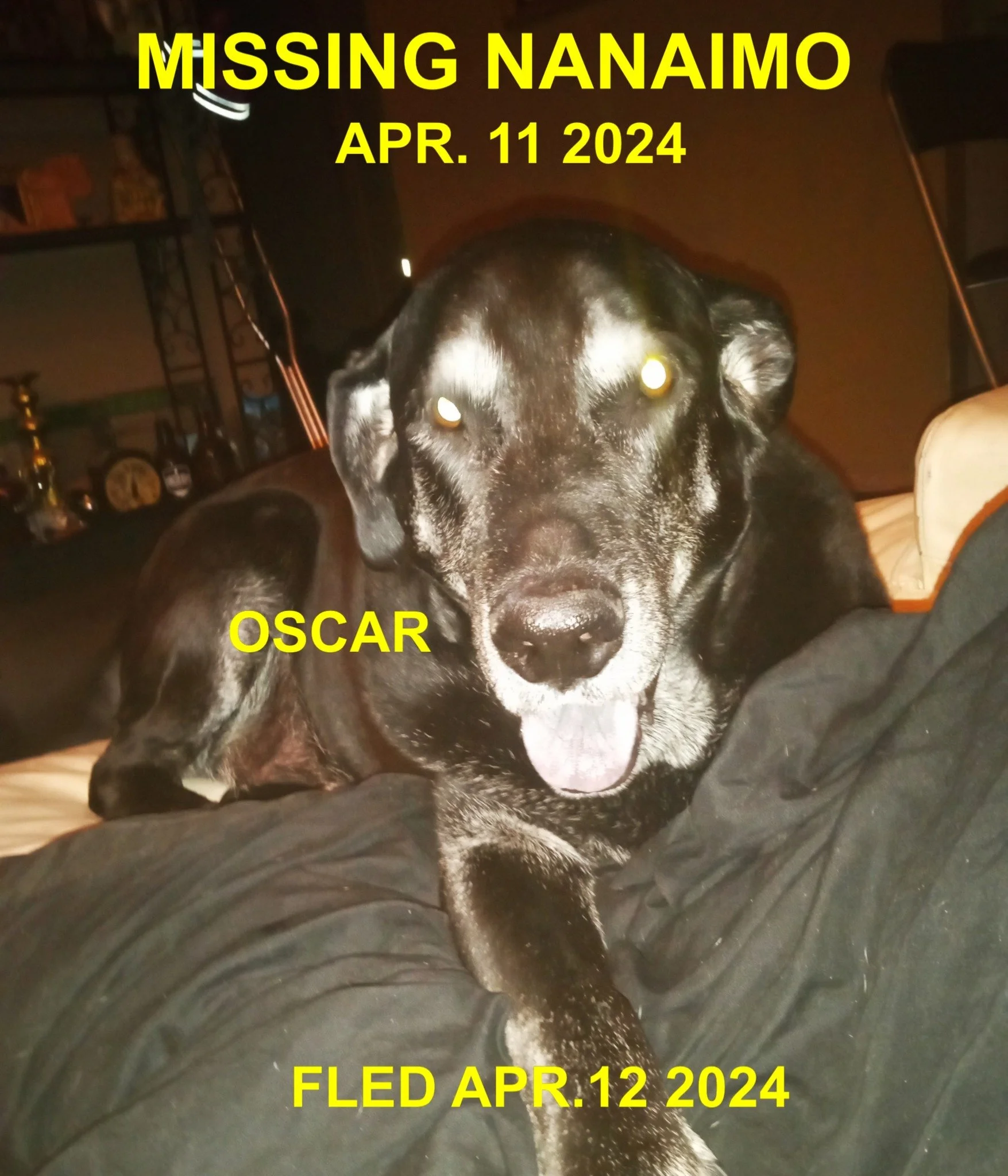 HAPPY ENDINGS - NANAIMO BC. / OSCAR / APR. 11, 2024
