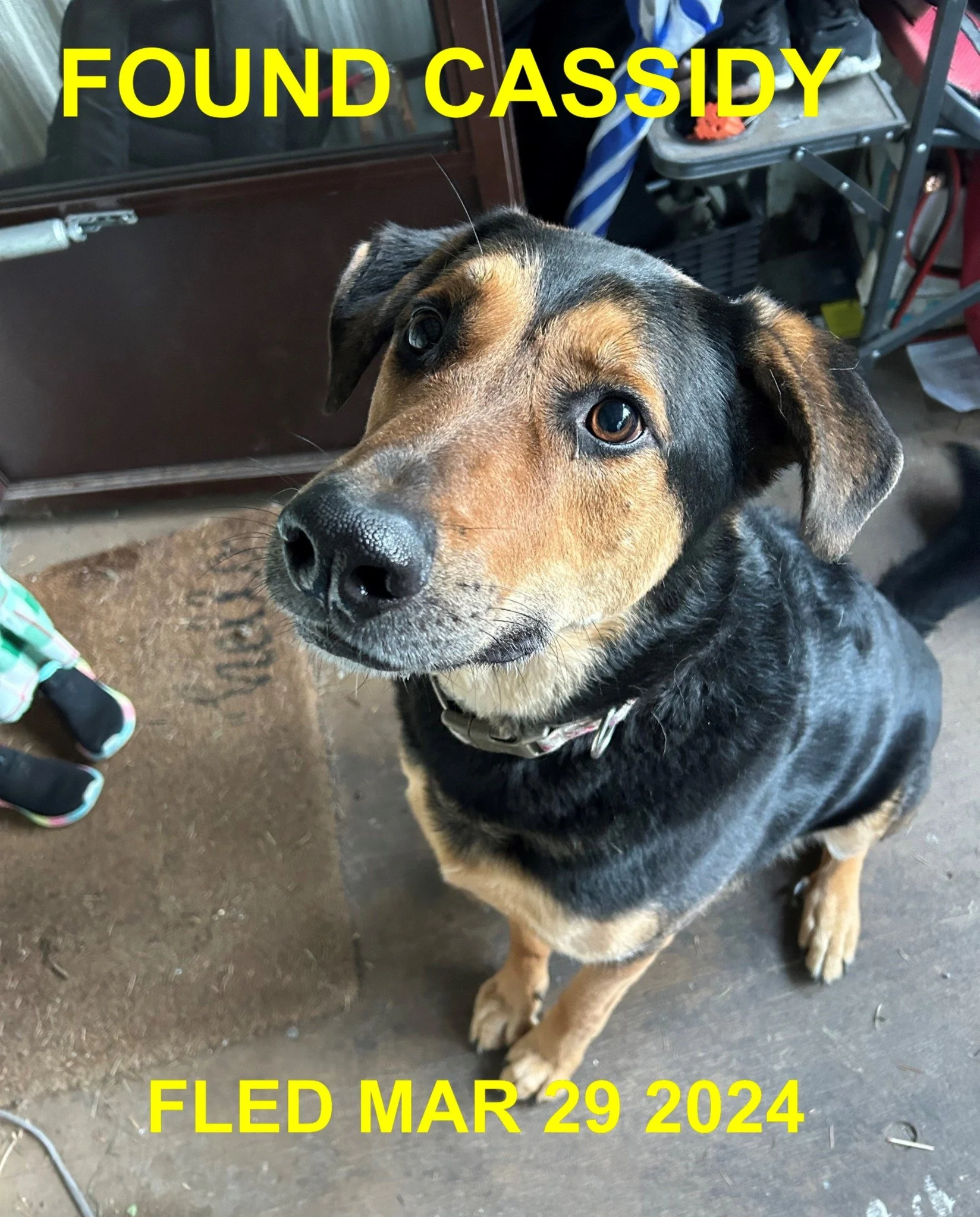 GONE TO SHELTER / LADYSMITH BC. / MAR. 29, 2024