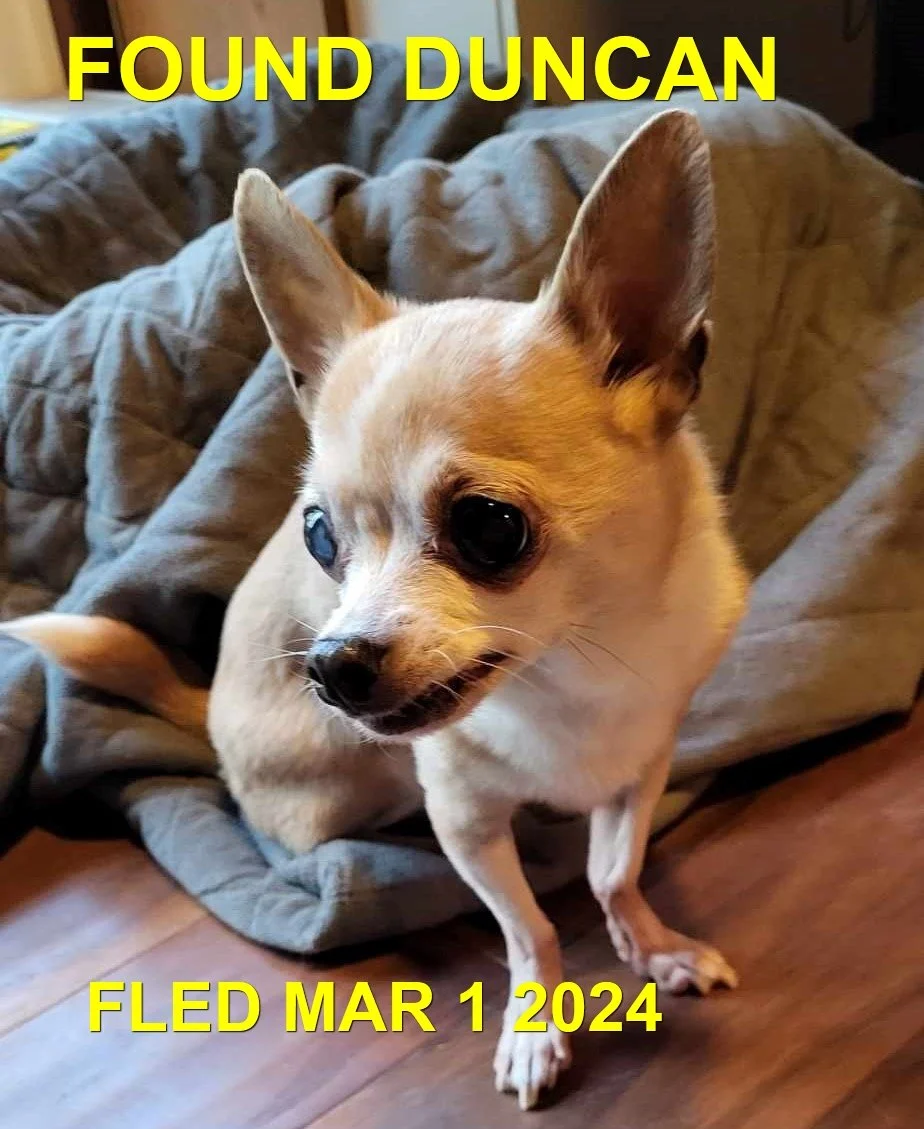 HAPPY ENDINGS - DUNCAN BC. / MAR. 1, 2024