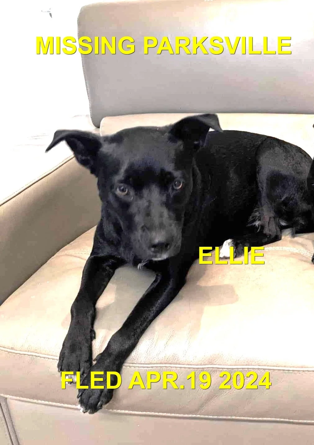 HAPPY ENDINGS - PARKSVILLE BC. / ELLIE / APRIL 29, 2024