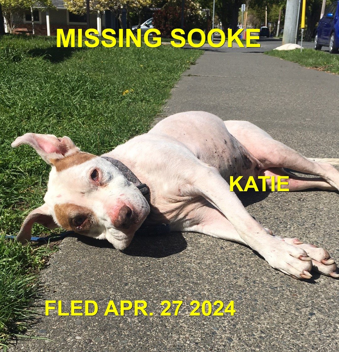 HAPPY ENDINGS - SOOKE BC. / KATIE / APRIL 27, 2024