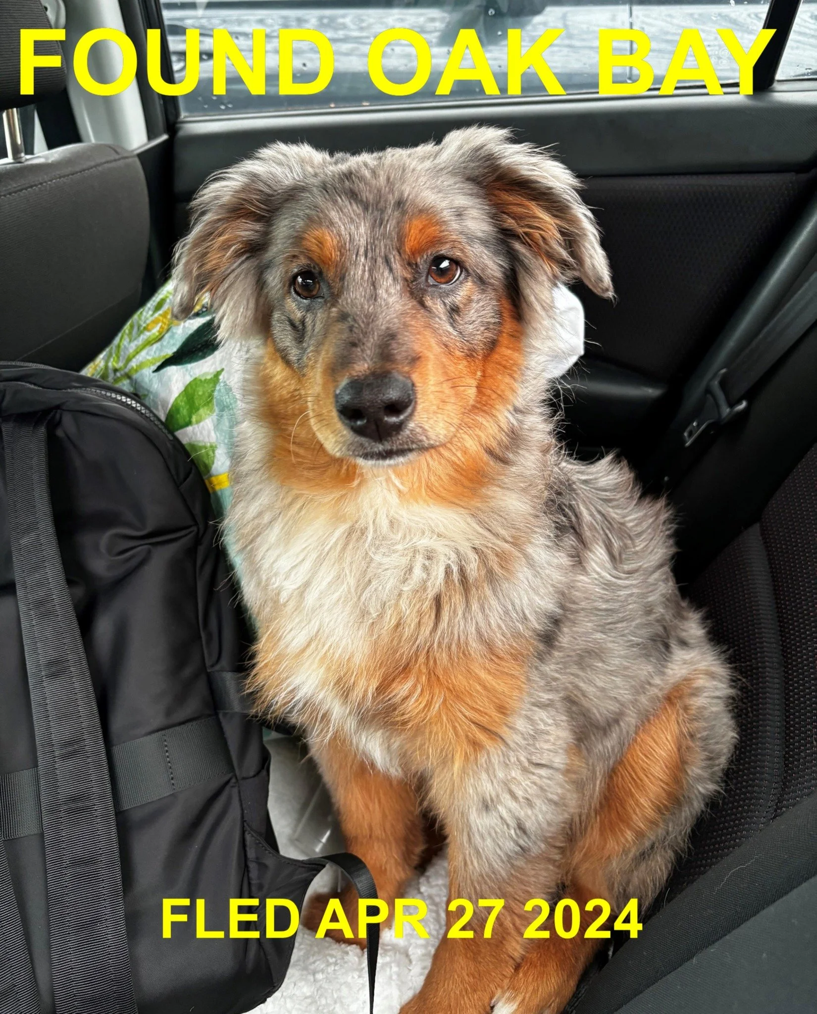 HAPPY ENDINGS - VICTORIA BC. / APRIL 26, 2024