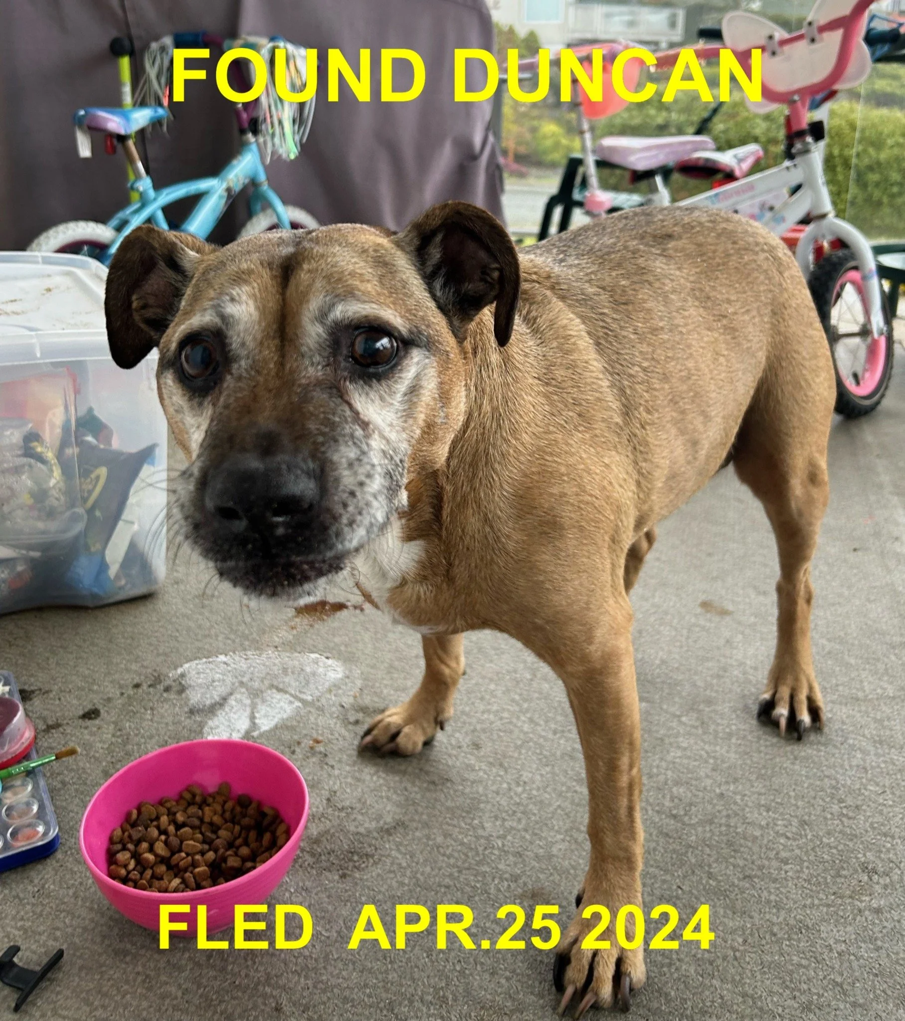 HAPPY ENDINGS - DUNCAN BC. / MAPLE BAY / APR. 25, 2024