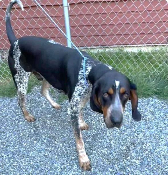 HAPPY ENDINGS - PARKSVILLE BC. / MAY 1, 2024