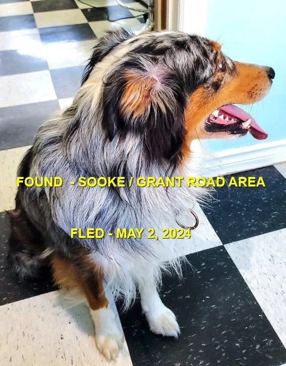 HAPPY ENDINGS - SOOKE BC. / MAY 2, 2024