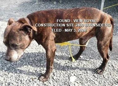 HAPPY ENDINGS - VIEW ROYAL BC. / MAY 3, 2024