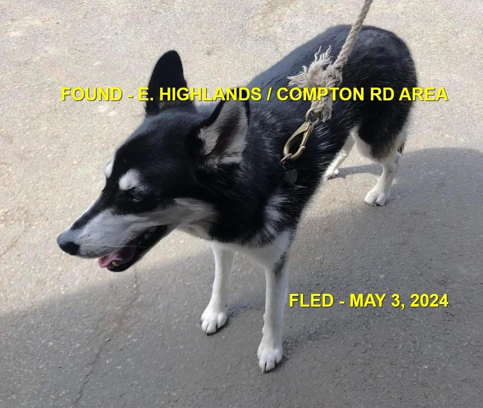 HAPPY ENDINGS - EAST HIGHLANDS BC. / MAY 3, 2024