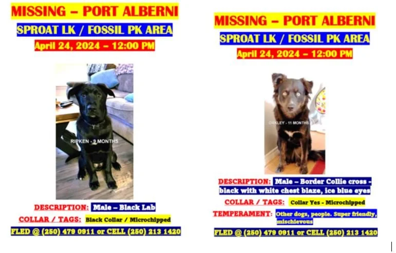 HAPPY ENDINGS - PORT ALBERNI BC. / RIPKEN &amp; OAKLEY / APRIL 24, 2024