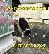 WENT HOME ON HER OWN - LANGFORD BC. / PRINCESS / APRIL 25, 2024