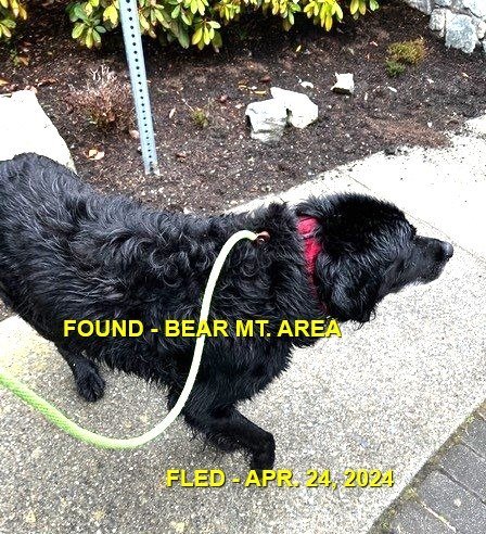 HAPPY ENDINGS -LANGFORD BC. / APRIL 24, 2024