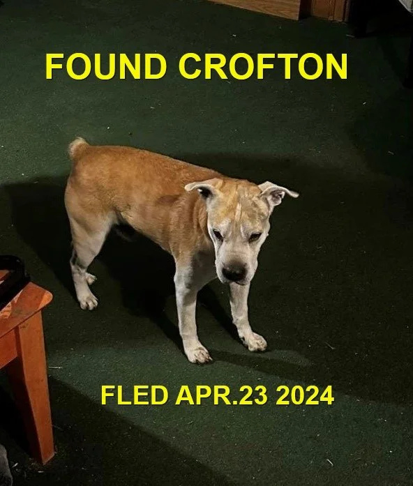 HAPPY ENDINGS - CROFTON BC. / APRIL 23, 2024