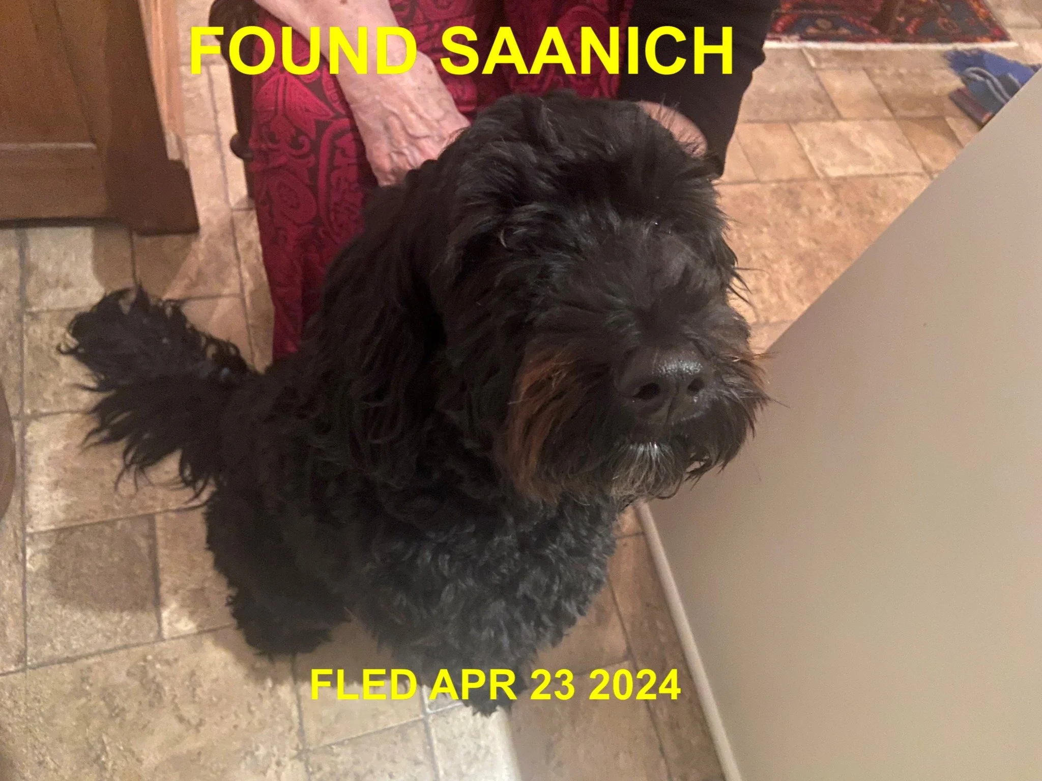 HAPPY ENDINGS - SAANICH BC. / APRIL 22, 2024