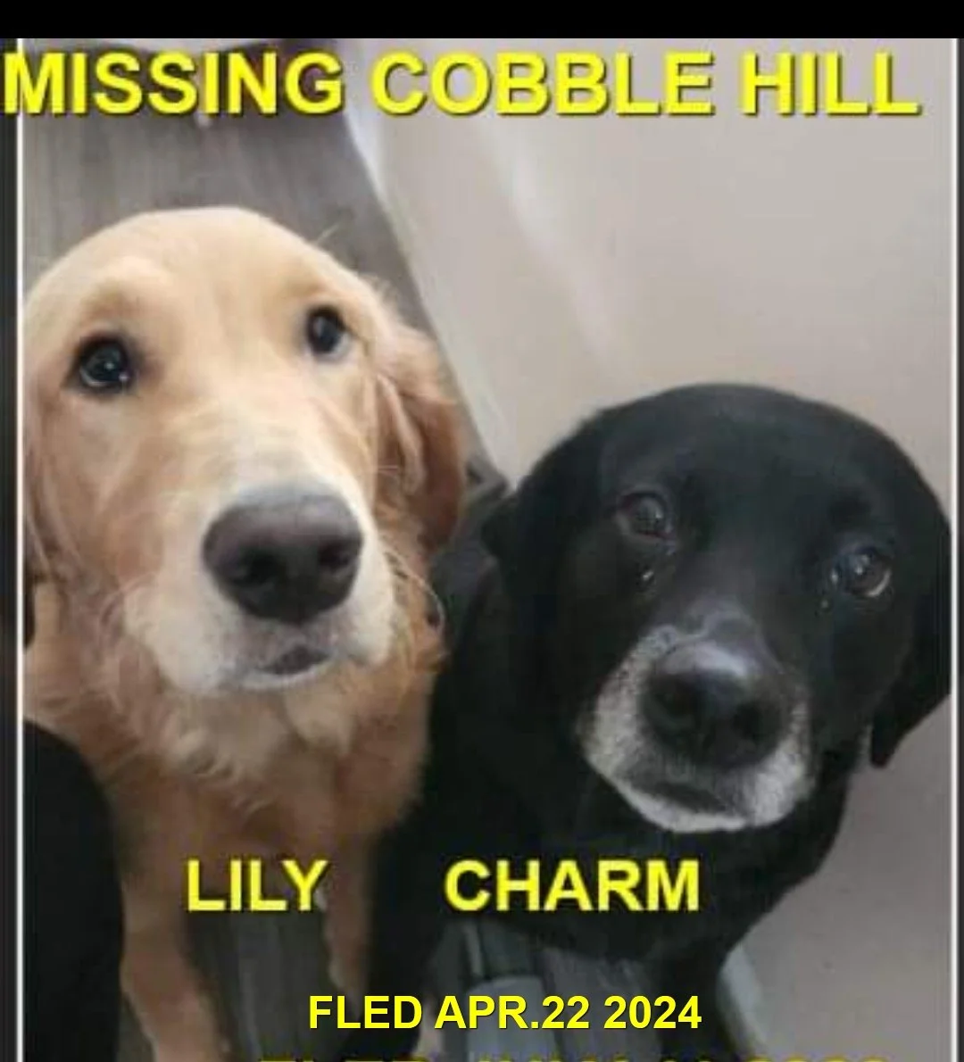 HAPPY ENDINGS - COBBLE HILL BC. / LILY &amp; CHARM / APRIL 22, 2024