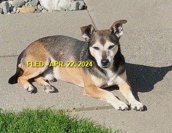 HAPPY ENDINGS - DUNCAN BC. / APRIL 22, 2024 