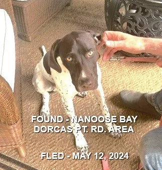 HAPPY ENDINGS - NANOOSE BAY BC. / REO / MAY 12, 2024