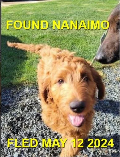 HAPPY ENDINGS - NANAIMO BC. / WAYLON / MAY 12, 2024