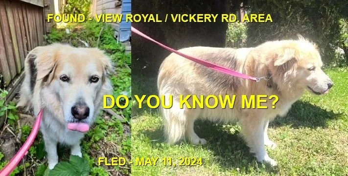 HAPPY ENDINGS - VIEW ROYAL BC. / MAY 11, 2024