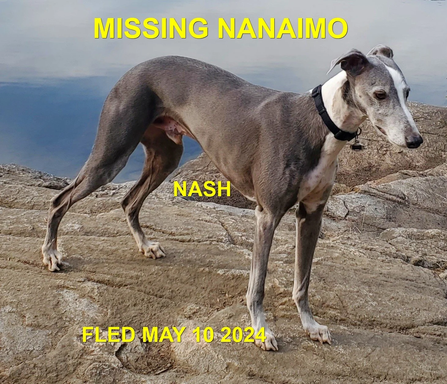 HAPPY ENDINGS - NANAIMO BC. / NASH / MAY 10, 2024