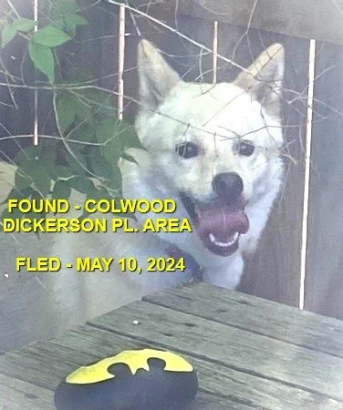 HAPPY ENDINGS - COLWOOD BC. / MAY 10, 2024