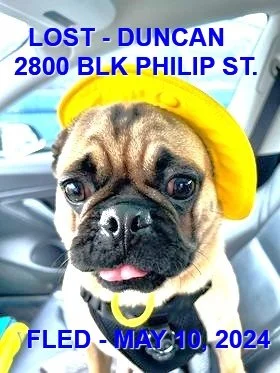 HAPPY ENDINGS - DUNCAN BC. / PUDDY / MAY 10, 2024