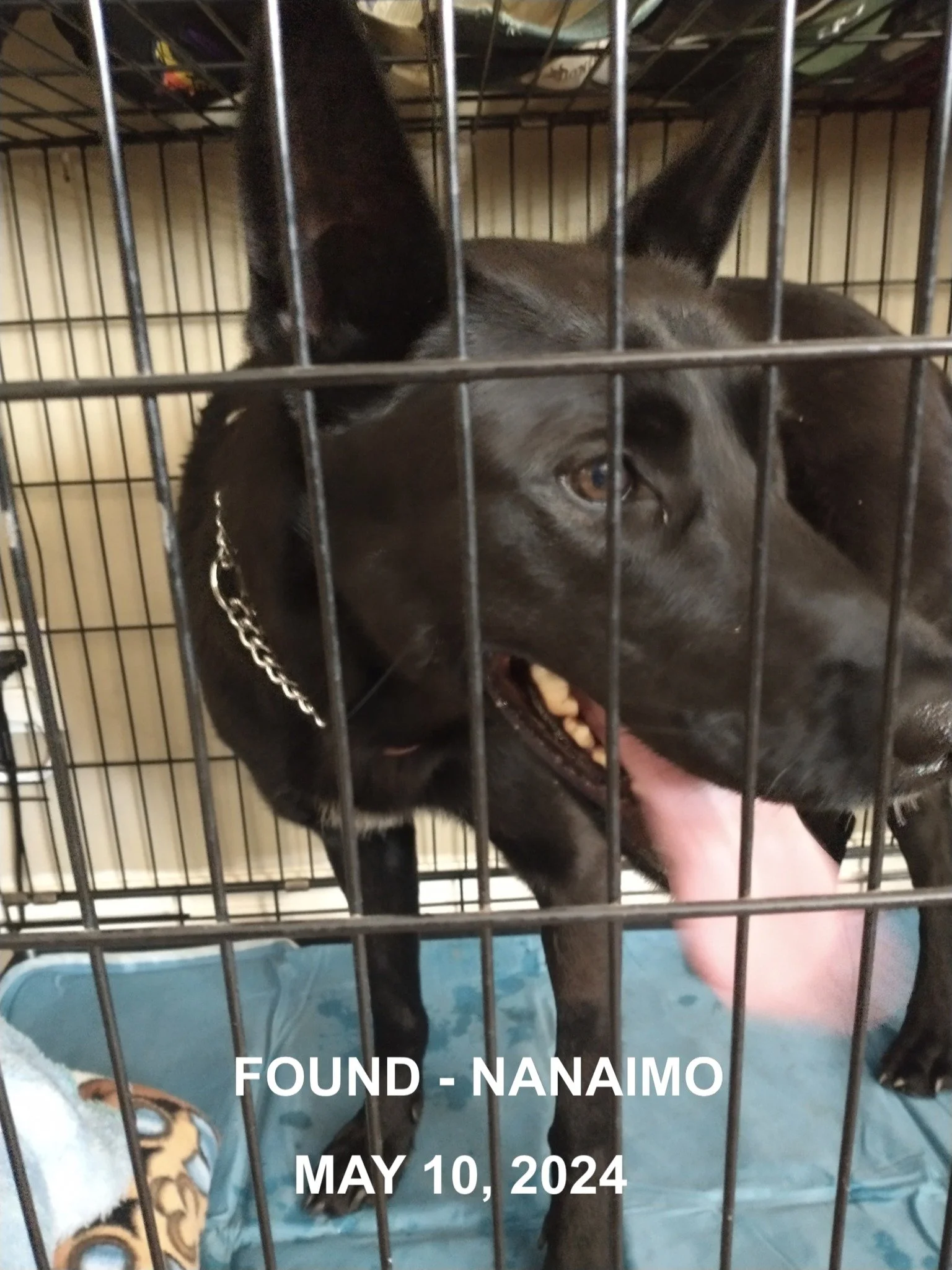 HAPPY ENDINGS - NANAIMO BC. / MAY 10, 2024