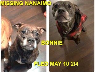 HAPPY ENDINGS - NANAIMO BC. / BENNIE / MAY 10, 2024