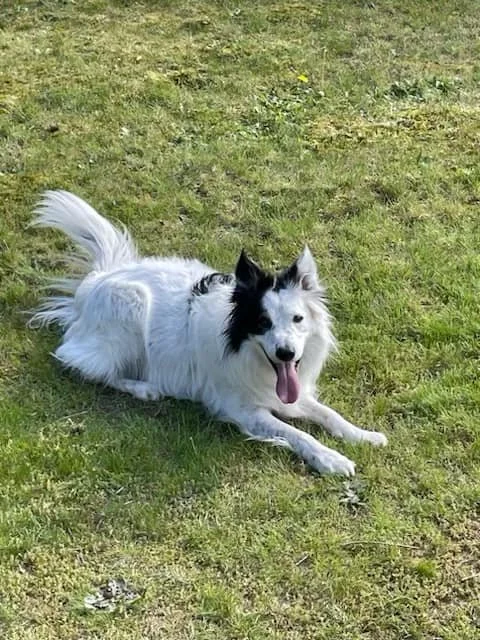 GONE TO SHELTER / HAPPY ENDINGS -LADYSMITH BC. / MAY 7, 2024