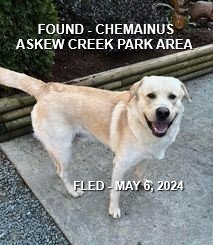 HAPPY ENDINGS - CHEMAINUS BC. / MAY 7, 2024