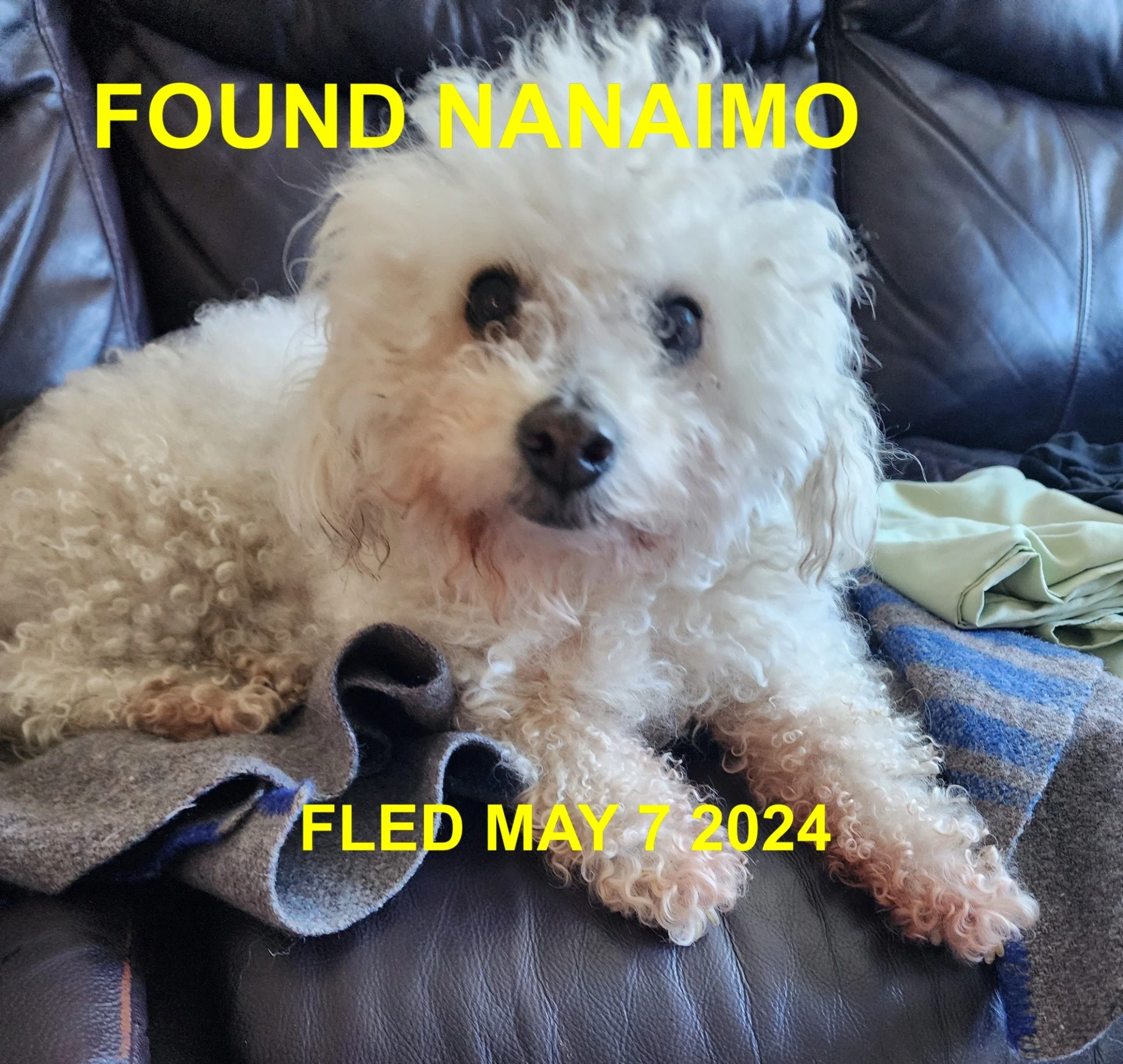 HAPPY ENDINGS - NANAIMO BC. / MAY 7, 2024