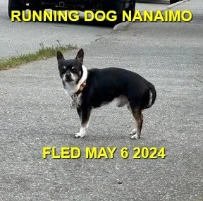 UNRESOLVED - NANAIMO BC. / MAY 6, 2024