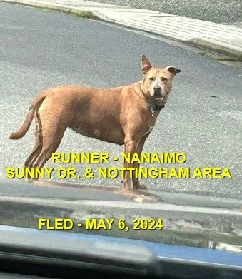 UNRESOLVED - NANAIMO BC. / MAY 6, 2024