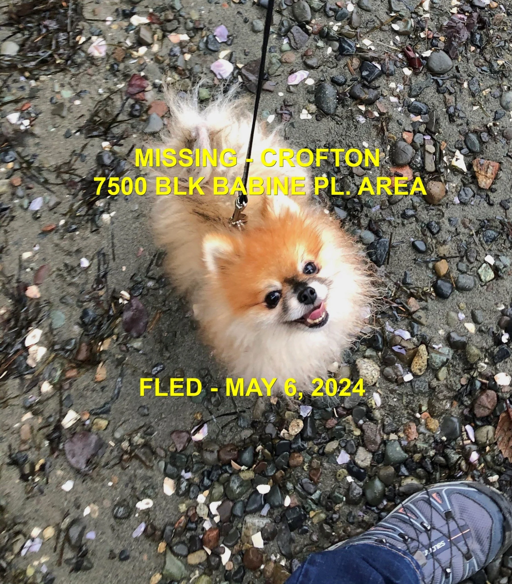 HAPPY ENDINGS - CROFTON BC. / TOMMY / MAY 6, 2024