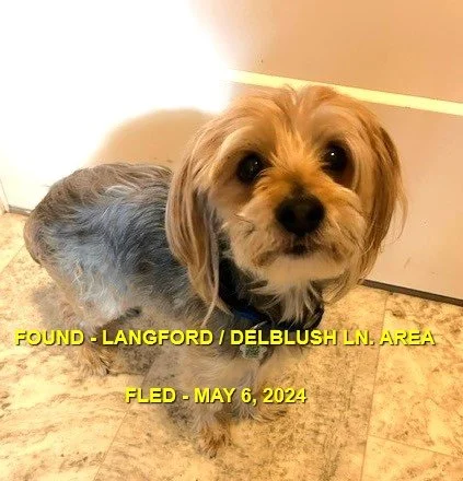 HAPPY ENDINGS - LANGFORD BC. / HUNTER / MAY 6, 2024