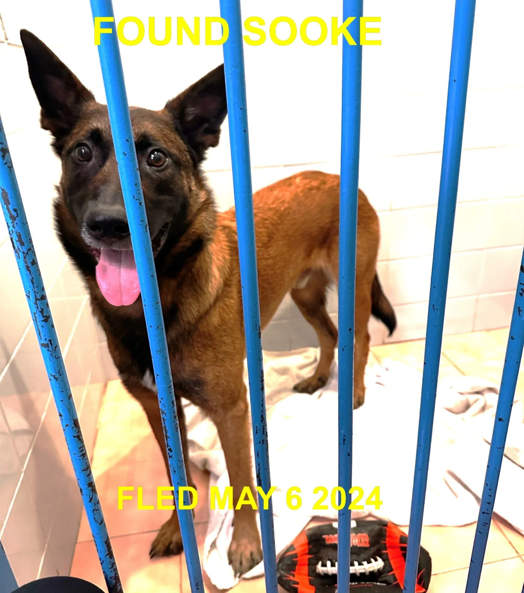 HAPPY ENDINGS - SOOKE BC. / MAY 6, 2024