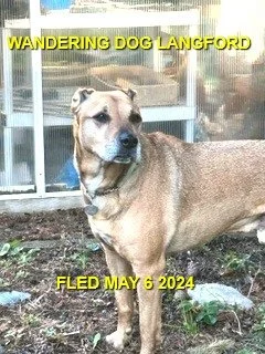UNRESOLVED - LANGFORD BC. / MAY 6, 2024