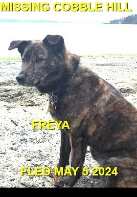 HAPPY ENDINGS - COBBLE HILL BC. / FREYA / MAY 5, 2024