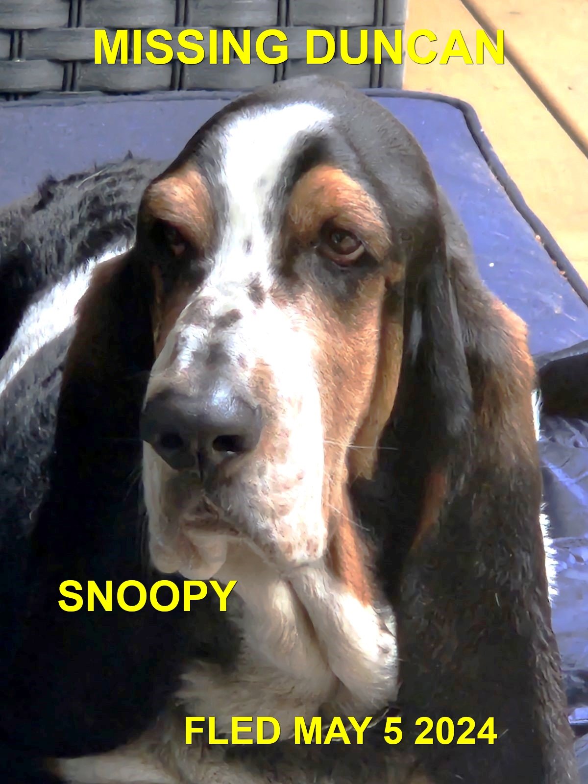 HAPPY ENDINGS - DUNCAN BC. / SNOOPY / MAY 4, 2024