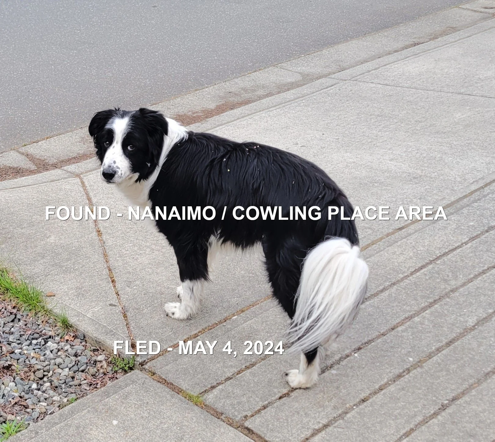 UNRESOLVED - NANAIMO BC. / MAY 4, 2024