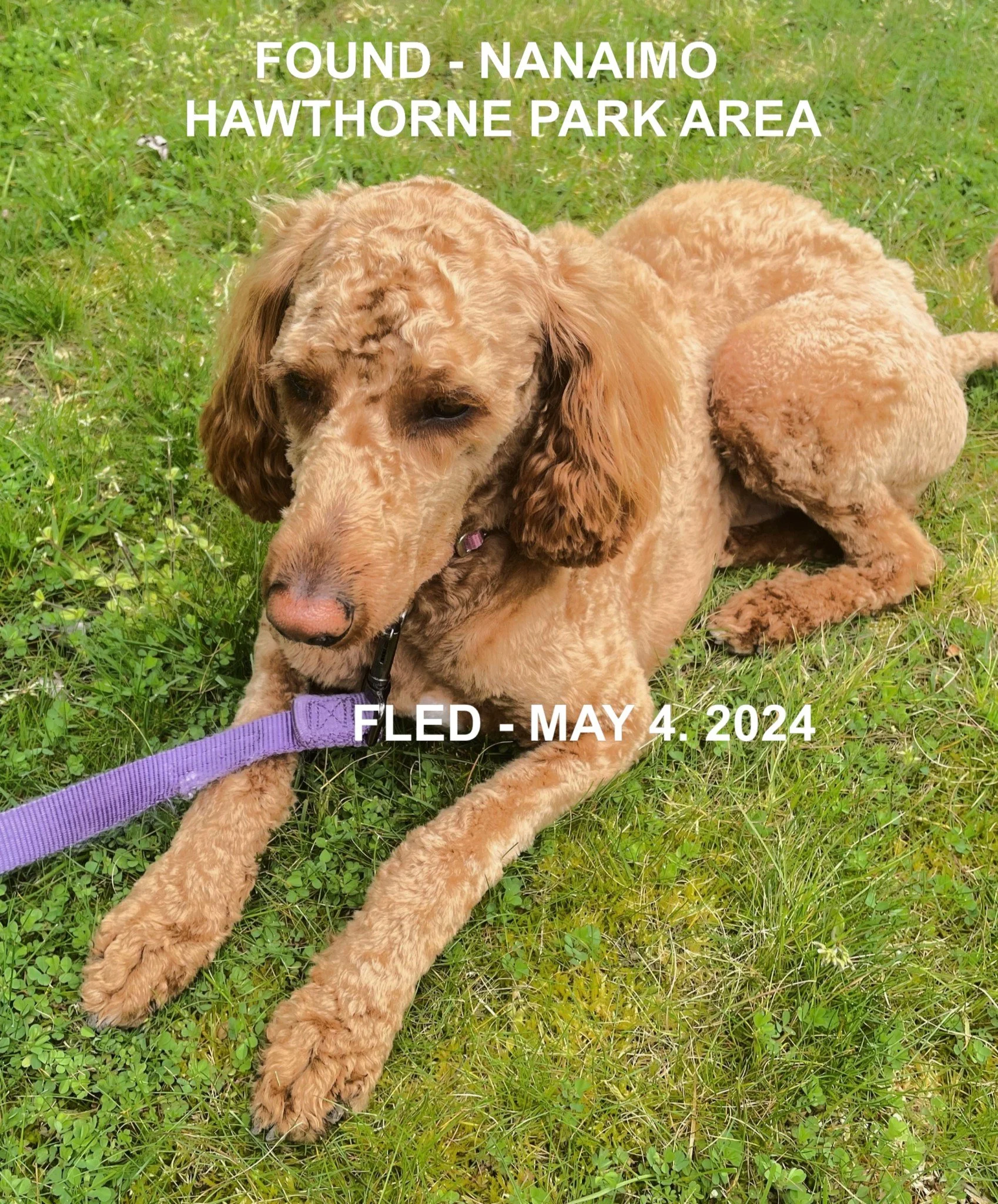 HAPPY ENDINGS - NANAIMO BC. / MAY 4, 2024