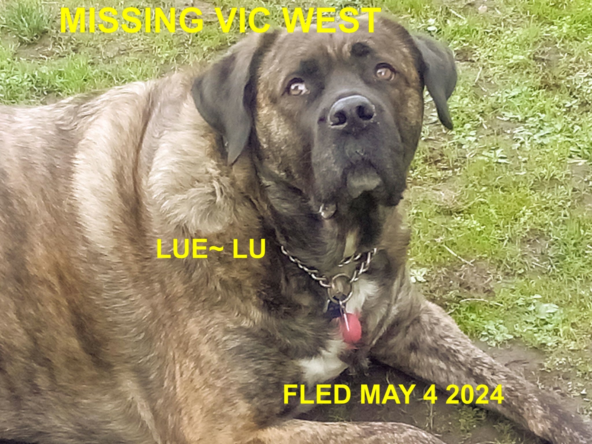 HAPPY ENDINGS -VICTORIA BC. / LUE-LU / MAY 4, 2024