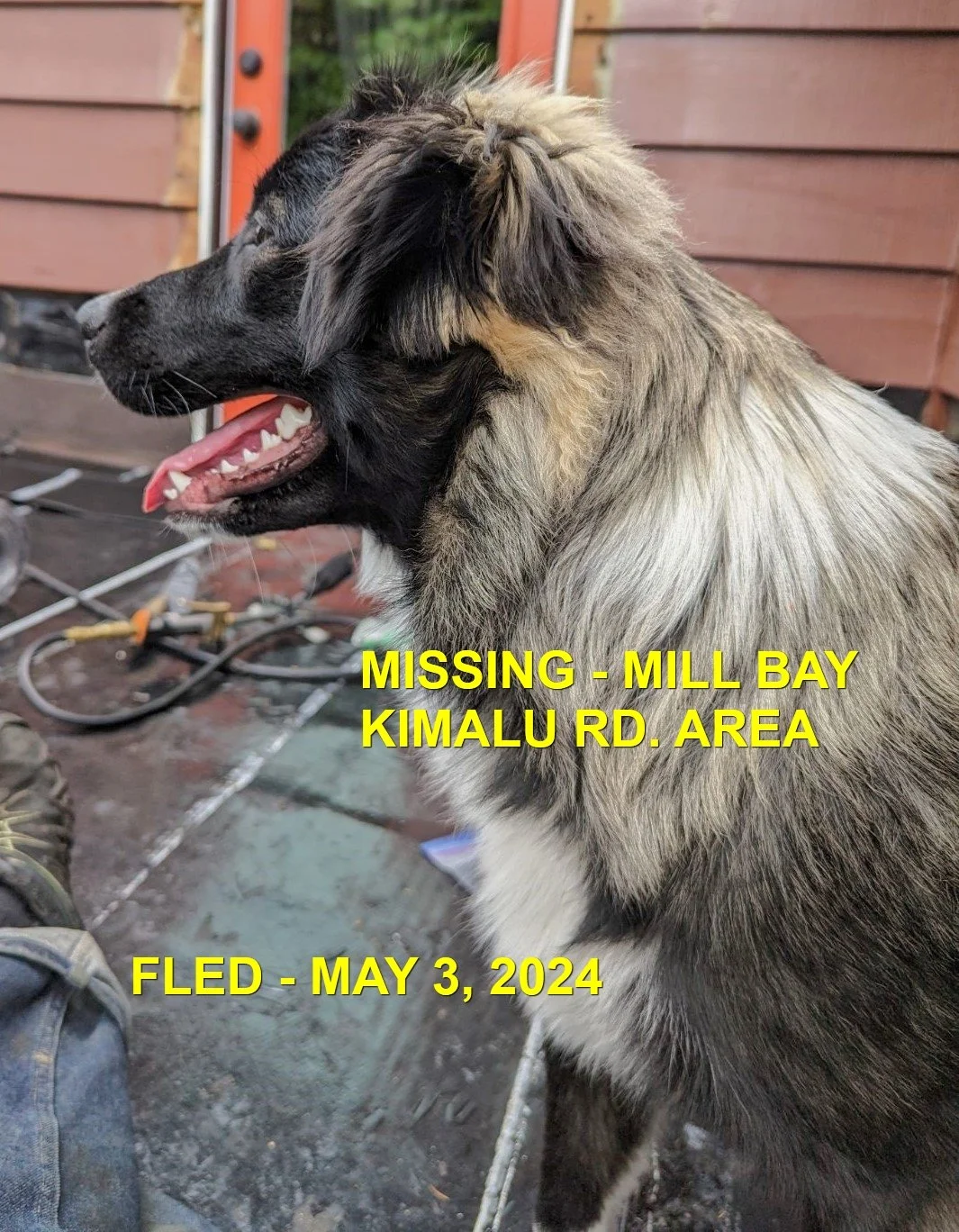 HAPPY ENDINGS - MILL BAY BC. / MAZZY / MAY 3, 2024