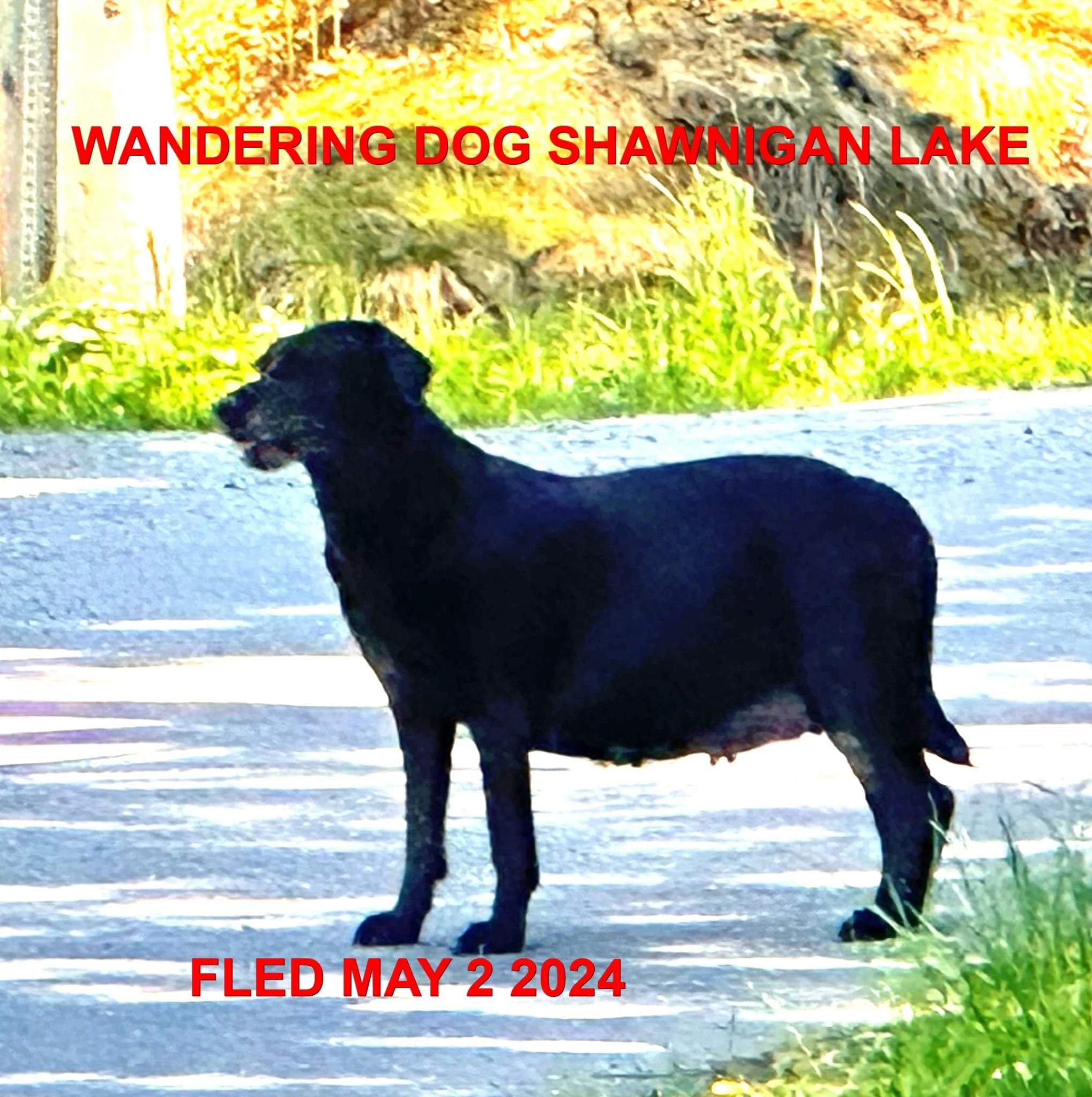 UNRESOLVED - SHAWNIGAN LAKE BC. / MAY 2, 2024